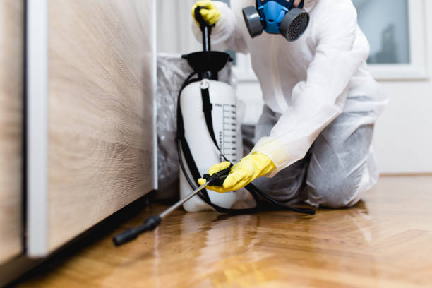 Best Affordable Pest Control Services  in Elleale, ND