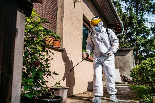 Best Pest Prevention Services  in Elleale, ND
