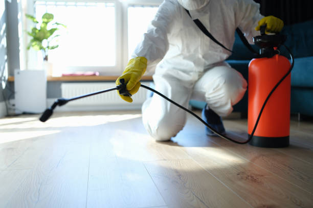 Best Wasp Removal Services  in Elleale, ND