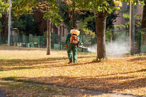 Best Residential Pest Control  in Elleale, ND
