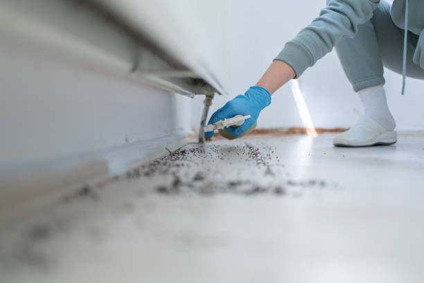 Trusted Ellendale, ND Pest Control Experts