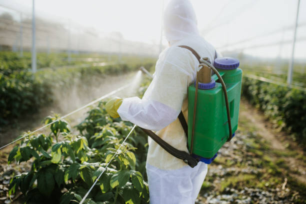 Best Residential Pest Control  in Elleale, ND
